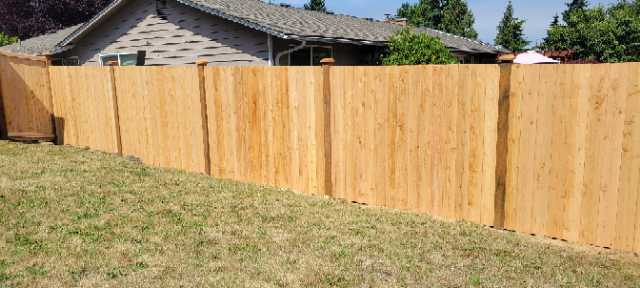 Wooden Fence in Backyard