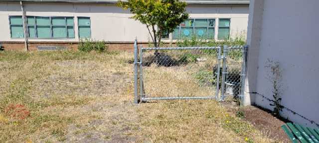 Short Chain-Link Fence