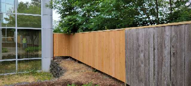 Two-Toned Wooden Fence