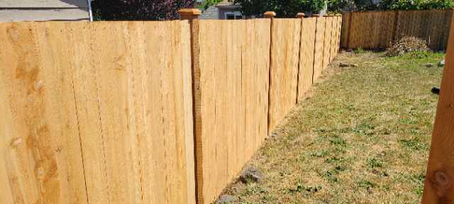 Wooden Fence in Backyard